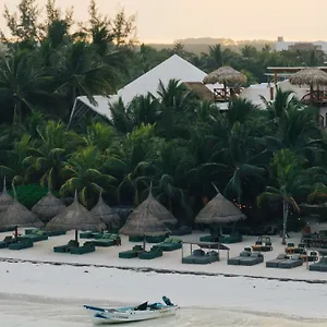 **** Hotel Casa Tortugas Petit Hotel&spa México